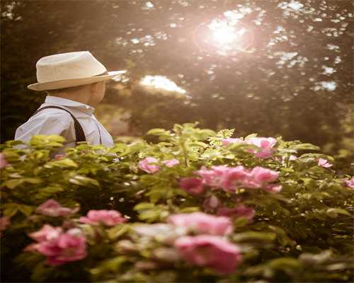 国内代怀的价格&代生的公司有吗,卵巢功能低可以做试管-卵巢功能低做试管有影响吗