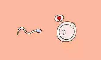 试管胎停后二次移植费用解析与影响因素探讨